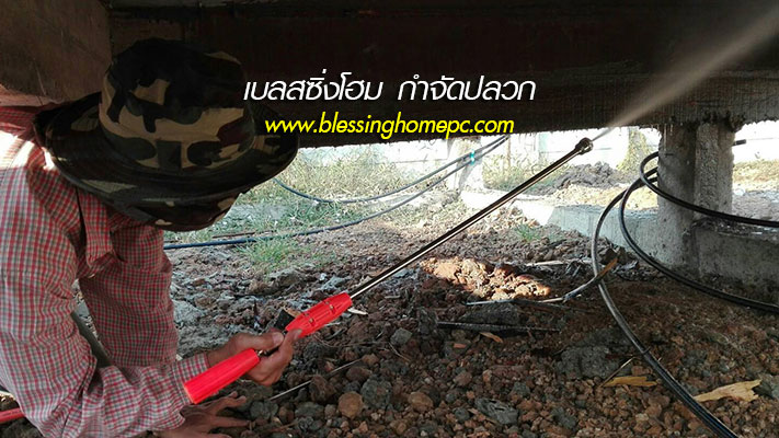 ฉีดปลวก กำจัดปลวกอยุธยา