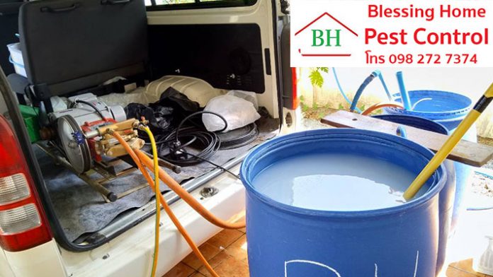 ป้องกันปลวก Blessing Pest Control